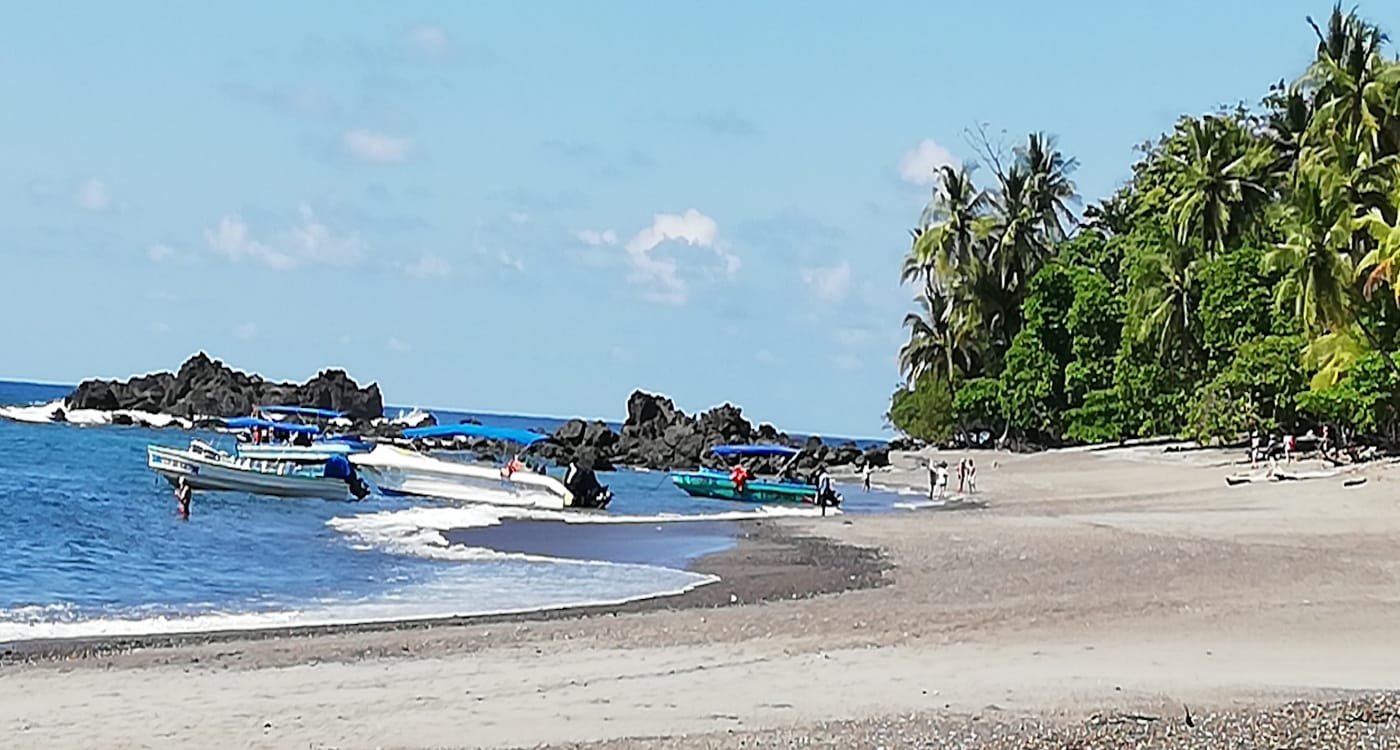 Vista ballena tours