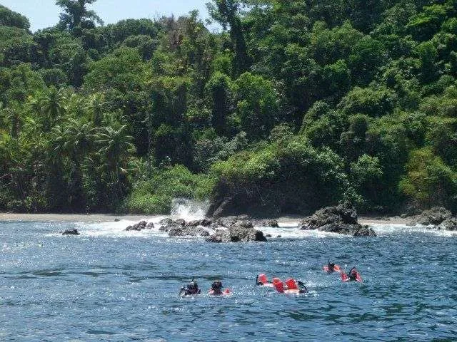 Vista Ballena Hotel tours
